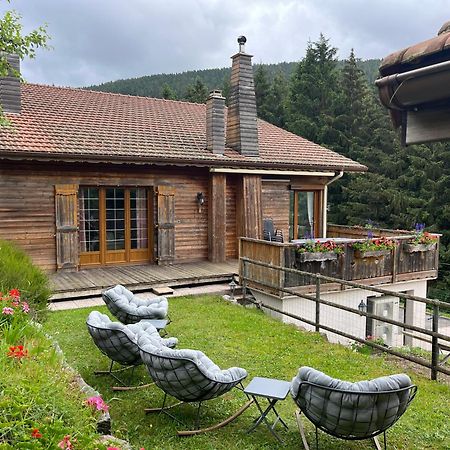 Au 21 Vosgien Bed & Breakfast ว็องทรง ภายนอก รูปภาพ