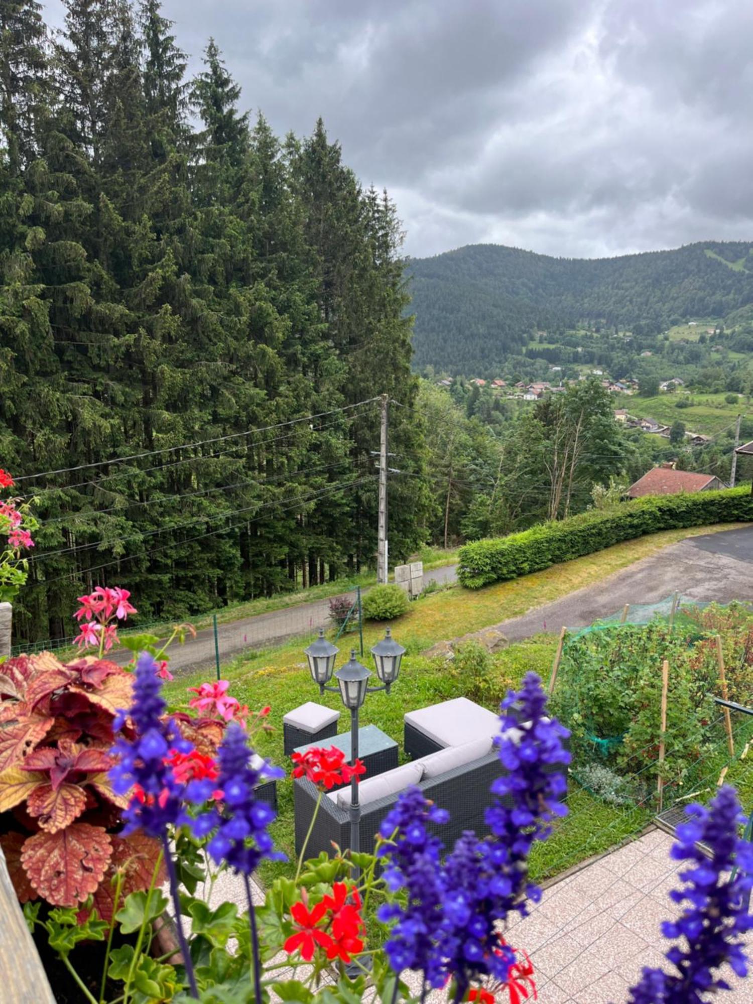 Au 21 Vosgien Bed & Breakfast ว็องทรง ภายนอก รูปภาพ